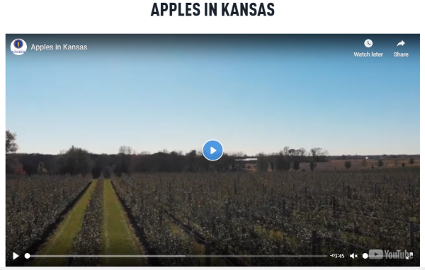 Apples in Kansas 